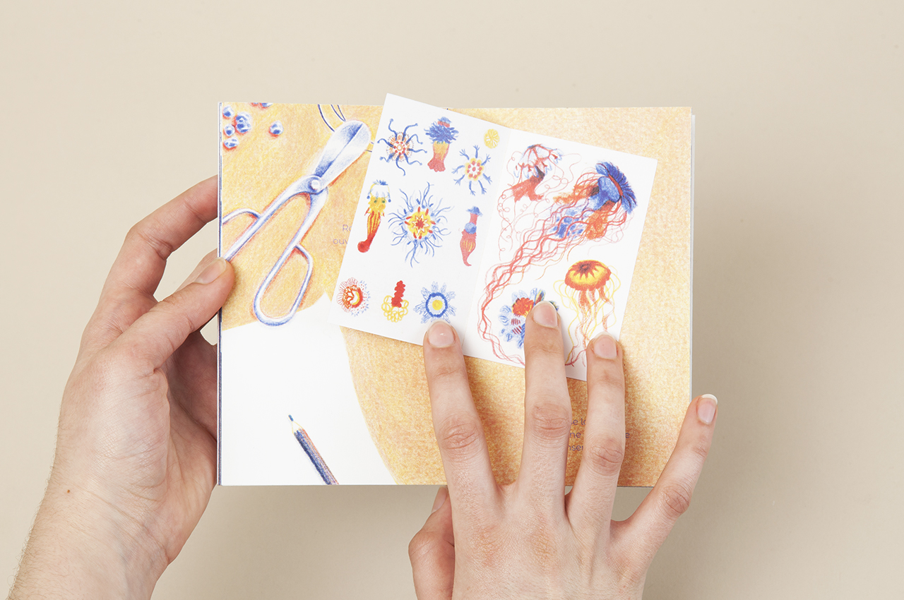 anne_pop-up07
