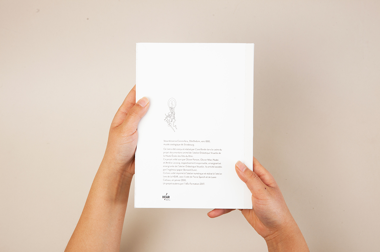 clara_pop-up18