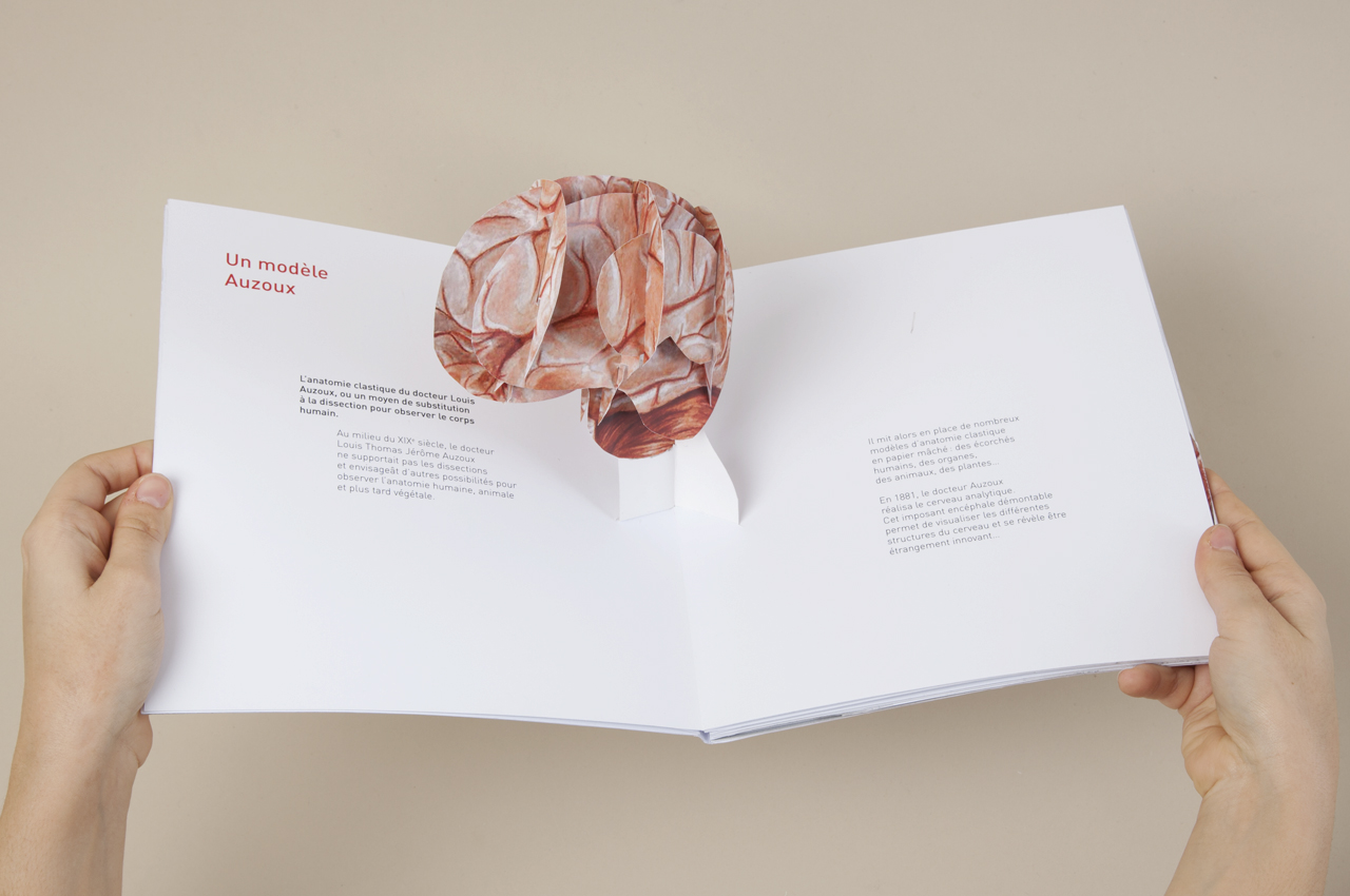 florence_pop-up04