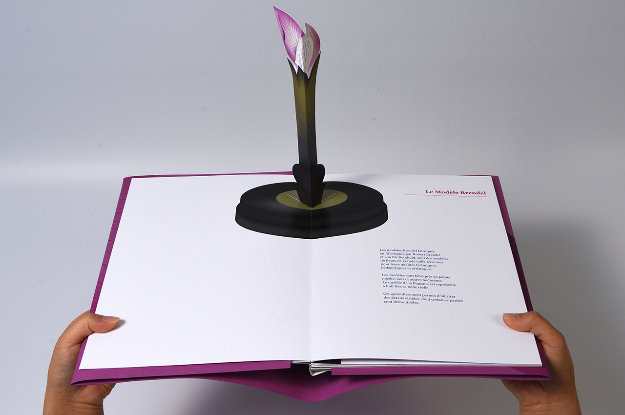 janitta_pop-up03