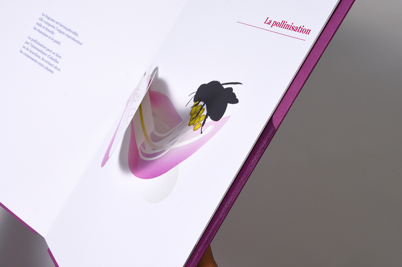 janitta_pop-up14