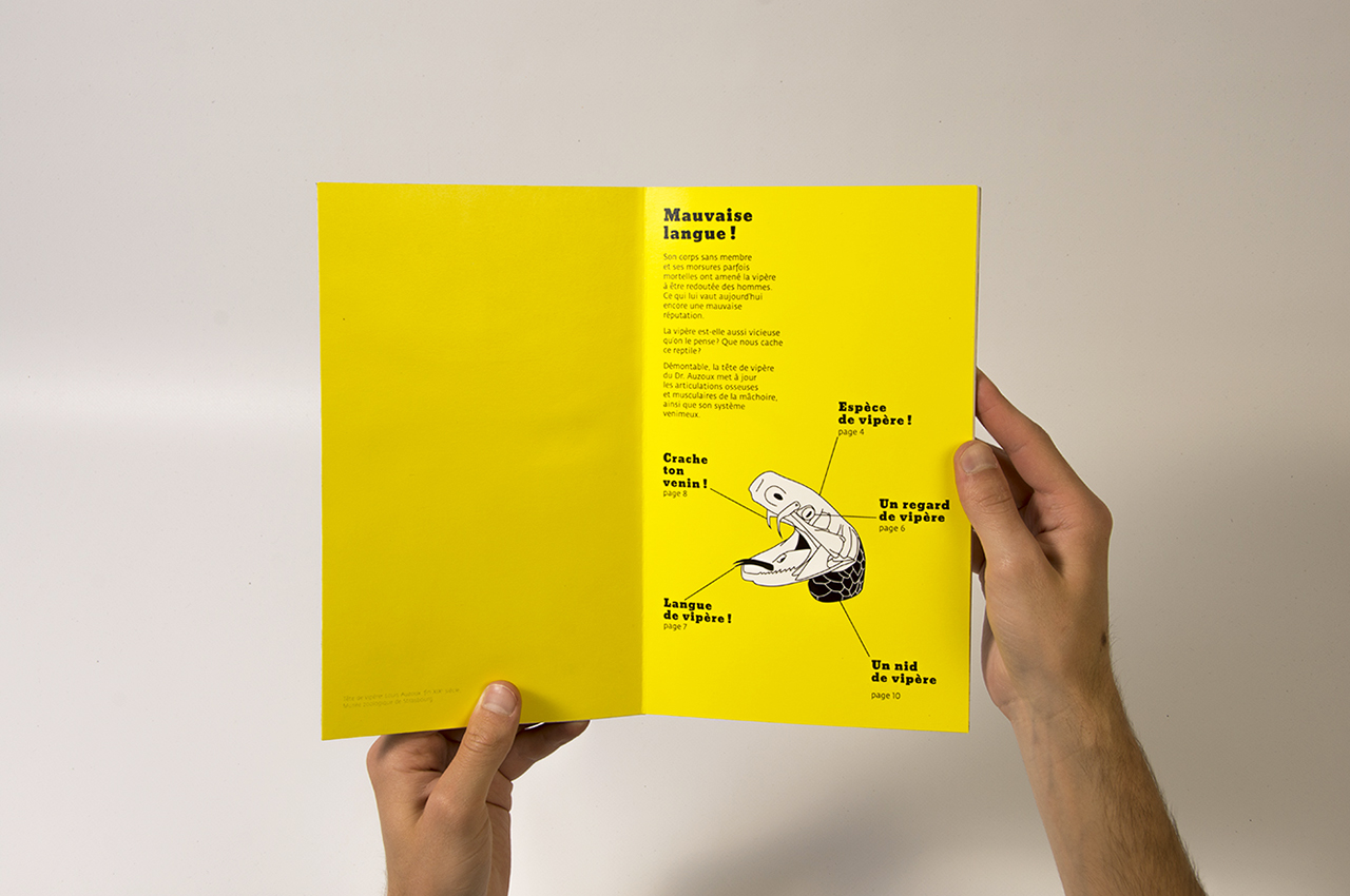 leo_pop-up02
