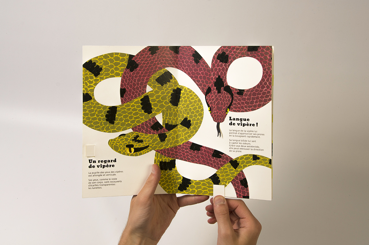 leo_pop-up05