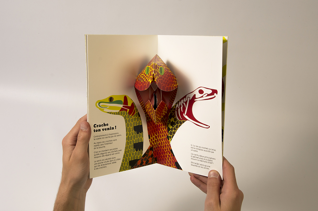leo_pop-up09