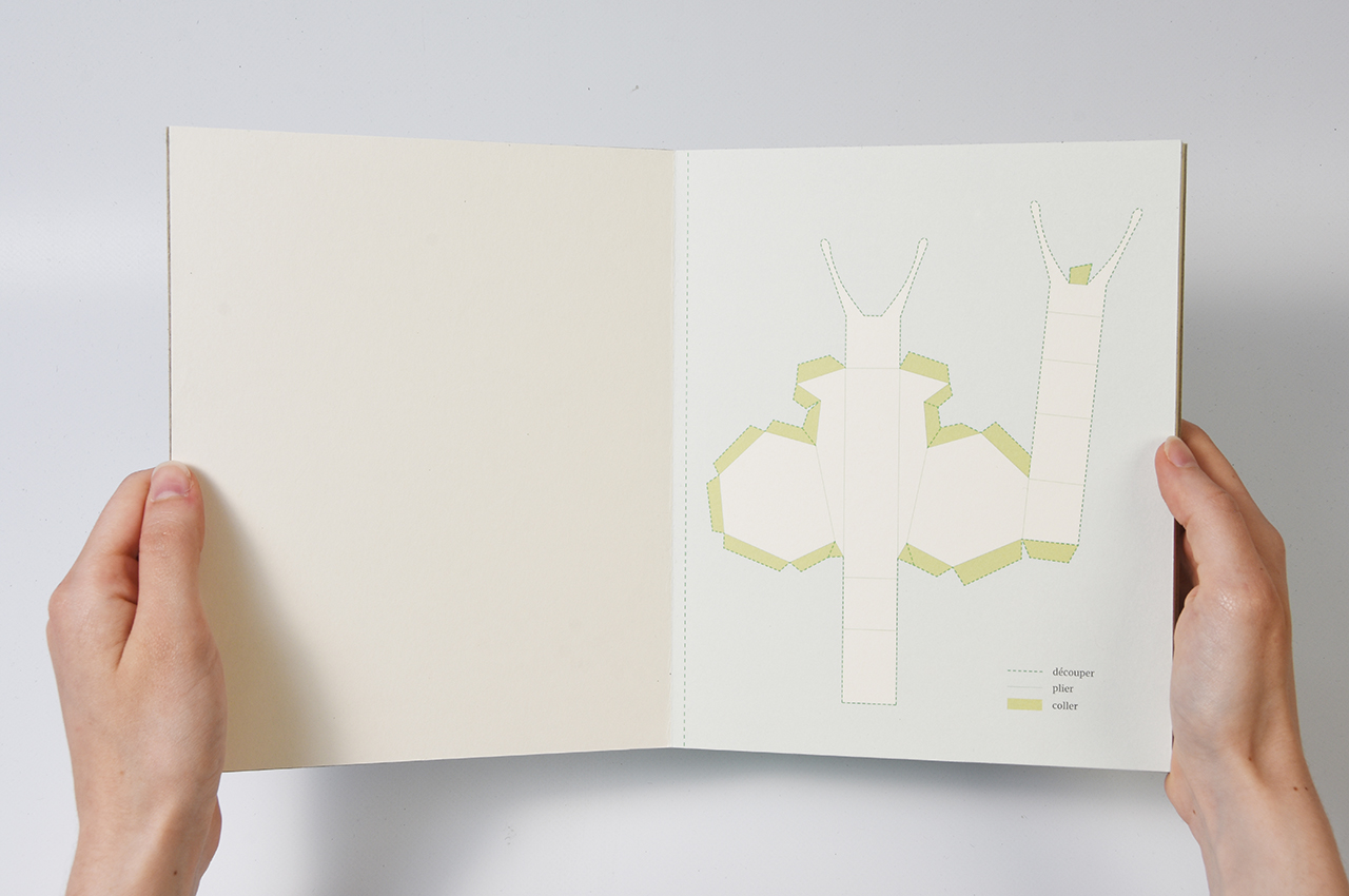 leonor_pop-up02
