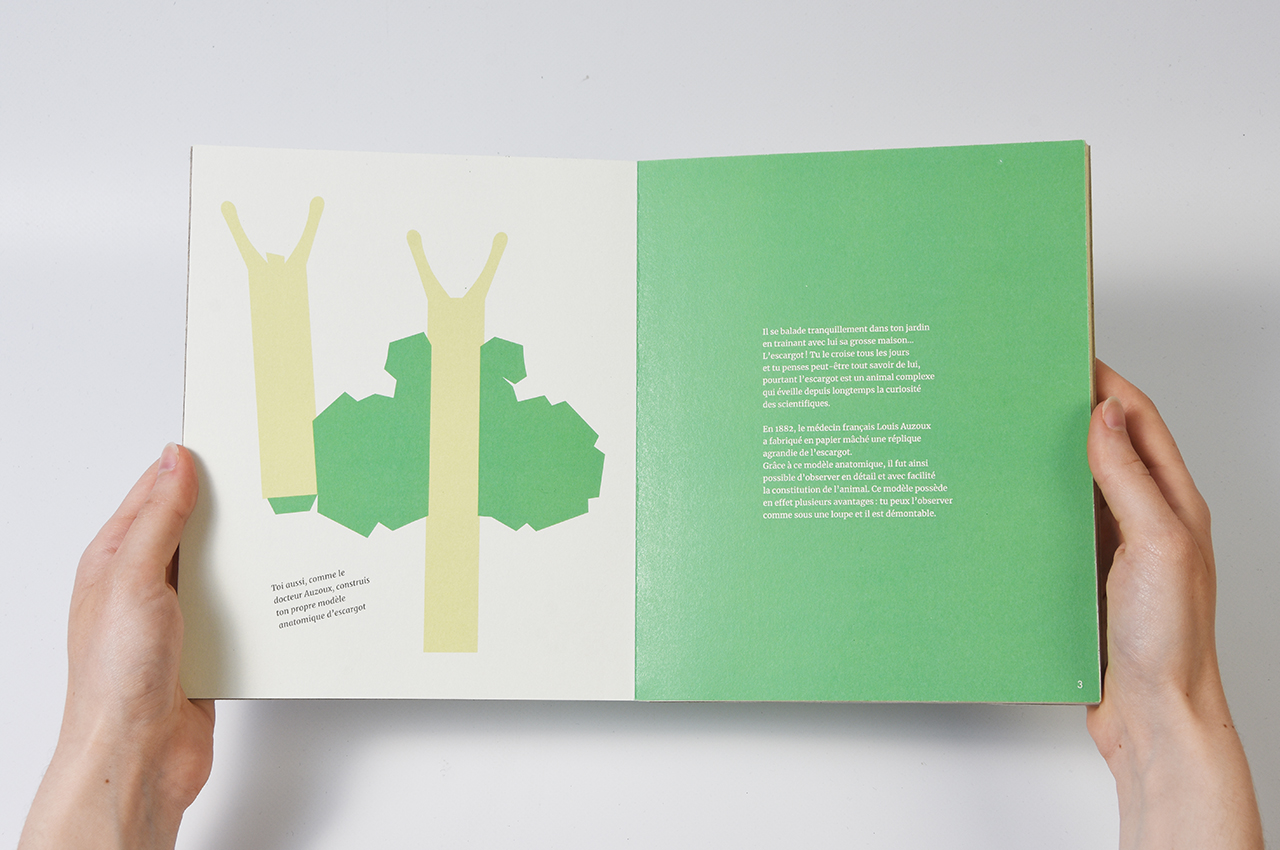 leonor_pop-up03