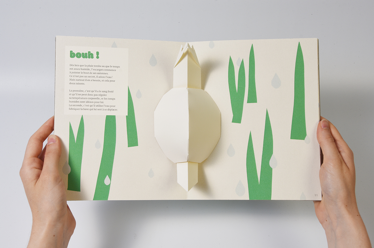 leonor_pop-up09