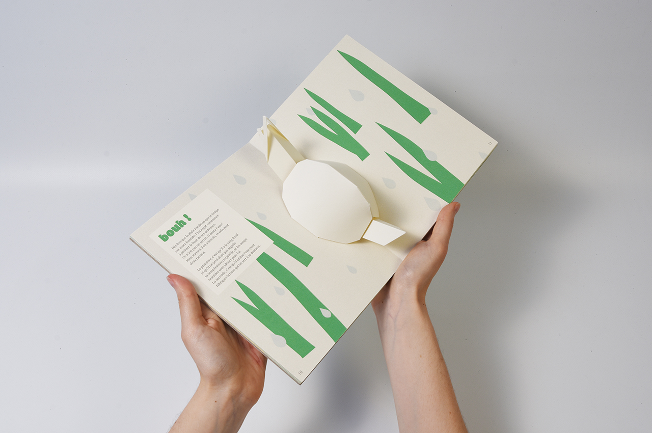 leonor_pop-up10