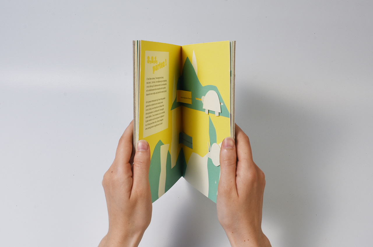 leonor_pop-up11