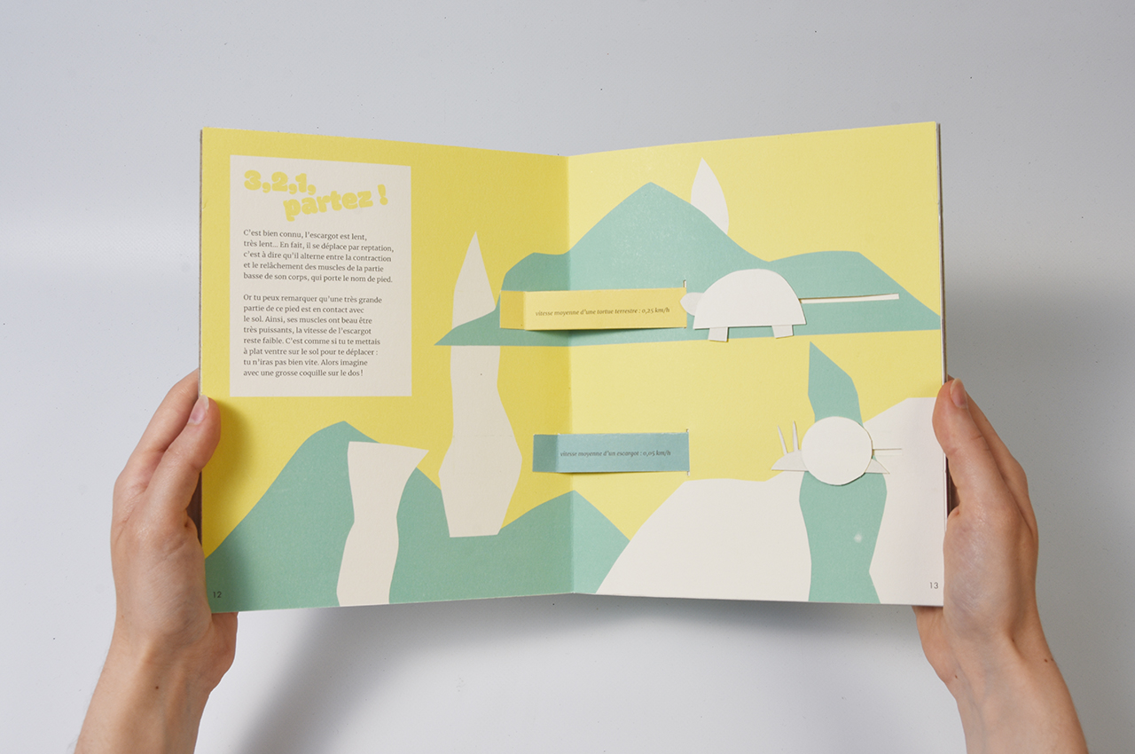 leonor_pop-up12