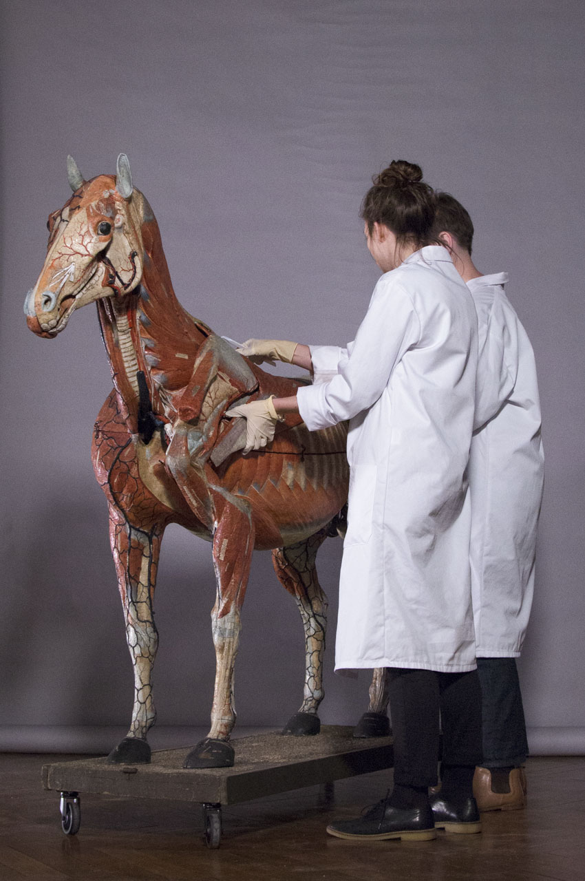 ouverture_cheval_01