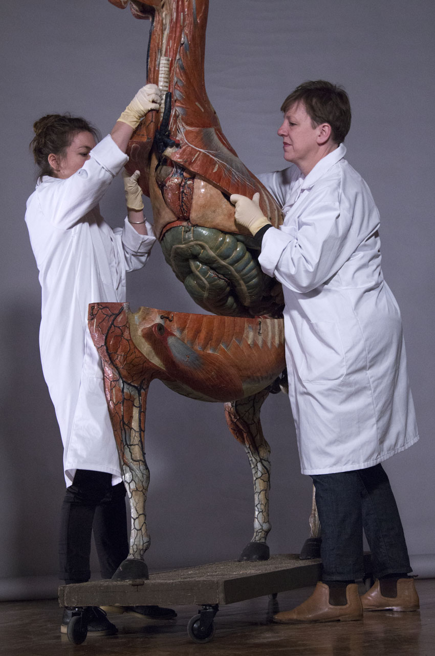 ouverture_cheval_16