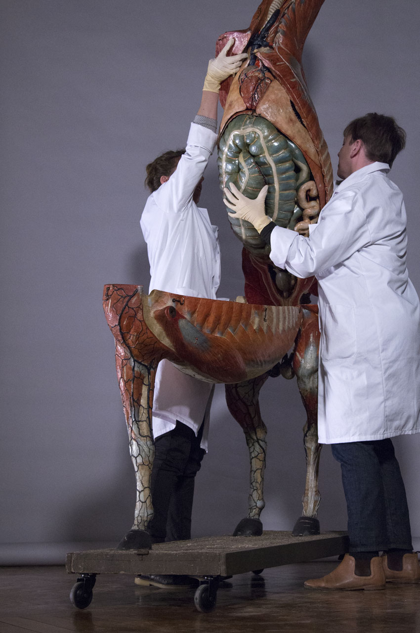 ouverture_cheval_20