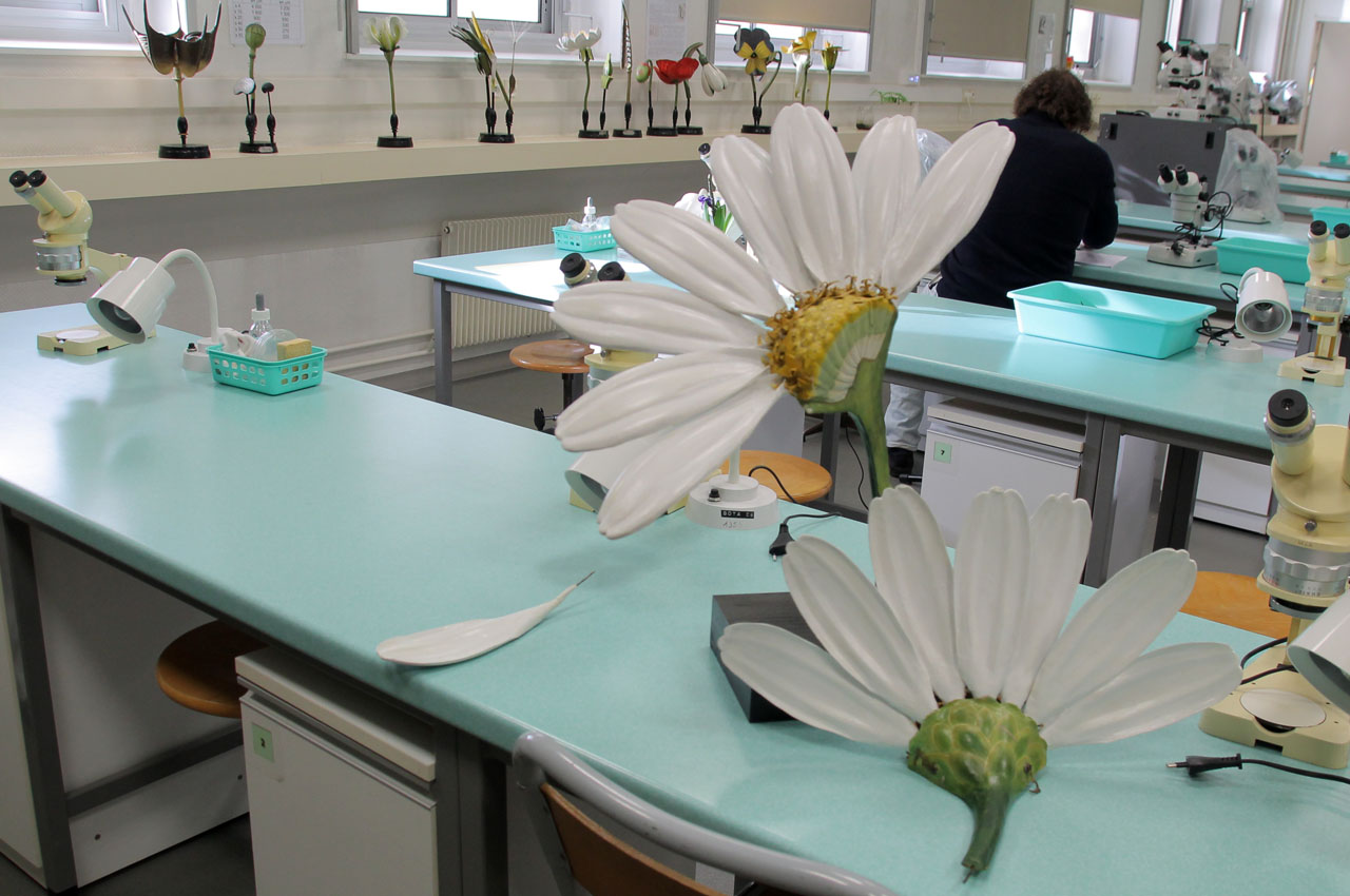 universite_dijon_29