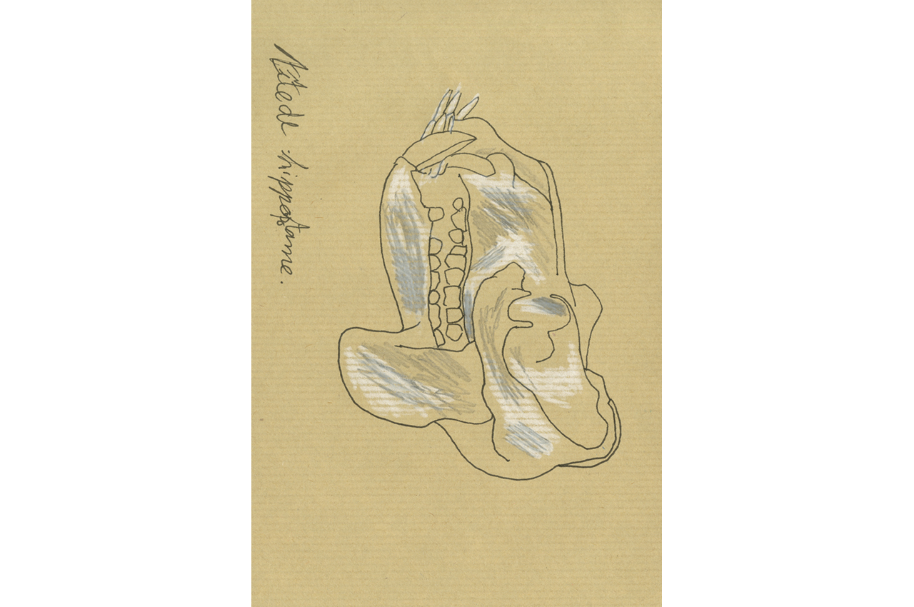 alice_fragonard_01