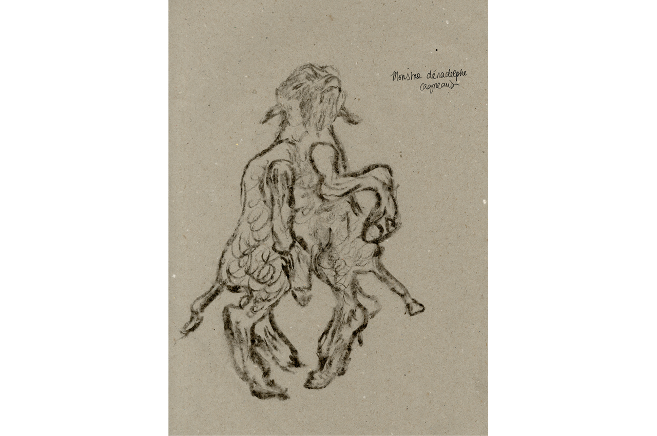 hannah_fragonard_02