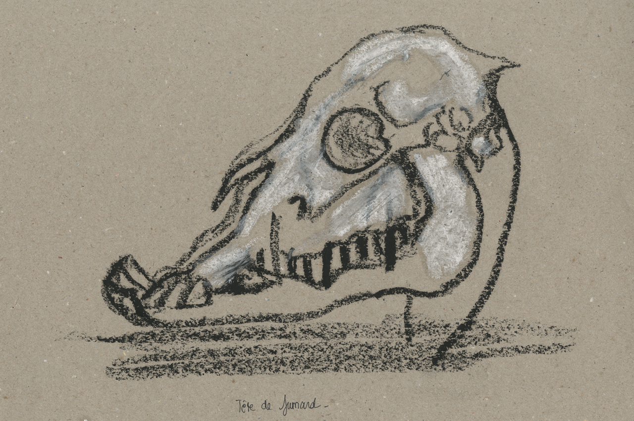 hannah_fragonard_03