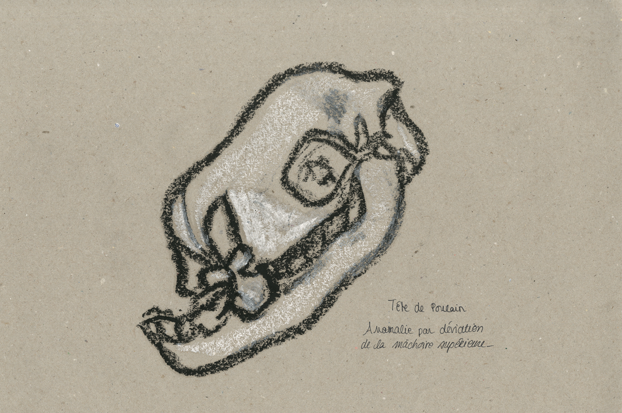 hannah_fragonard_05