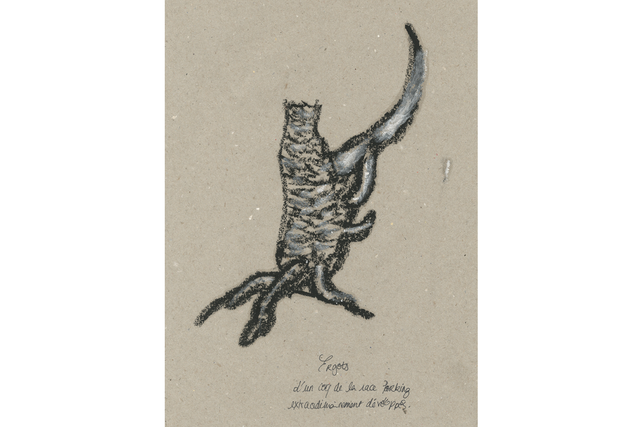 hannah_fragonard_09