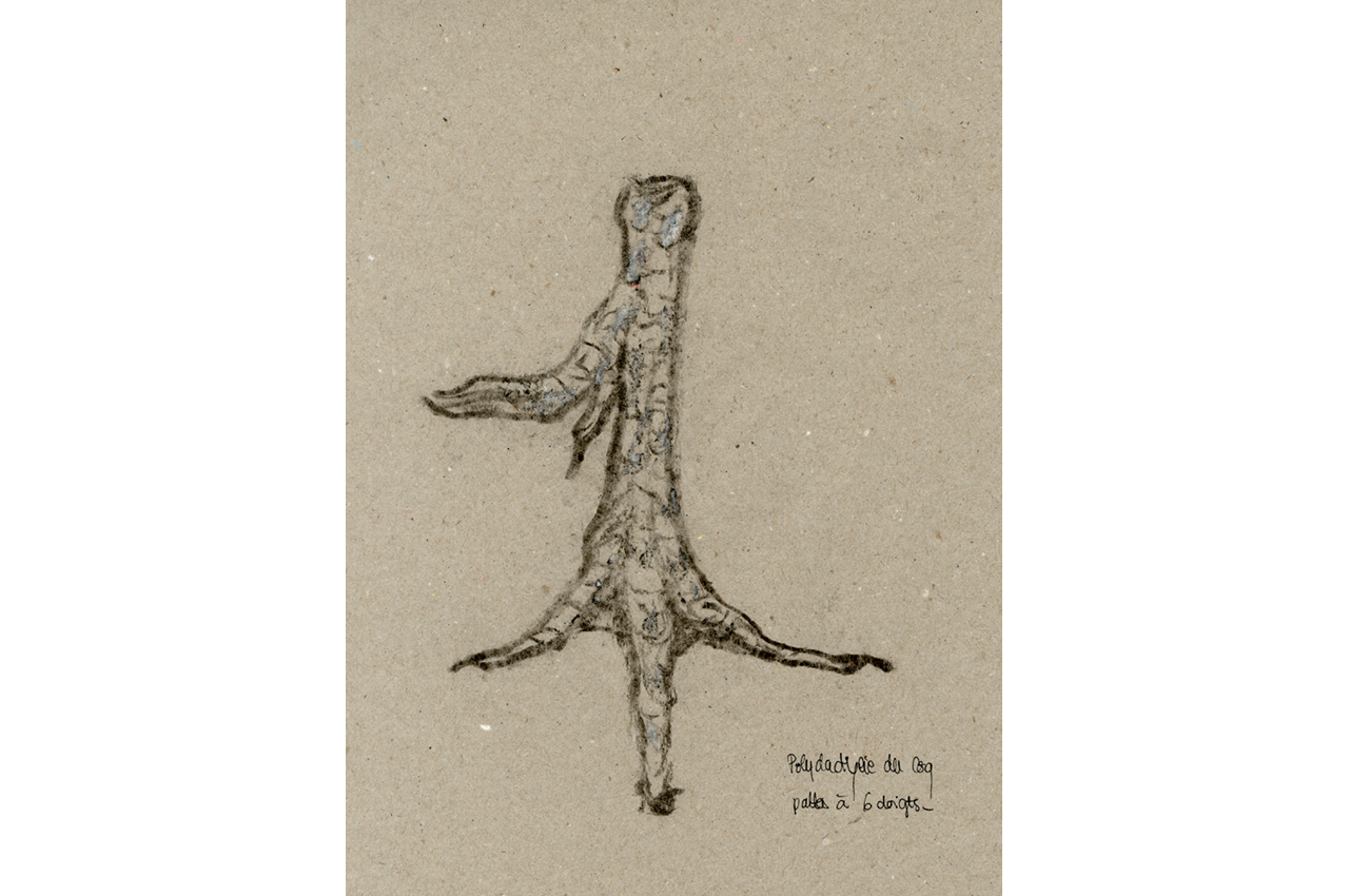 hannah_fragonard_10