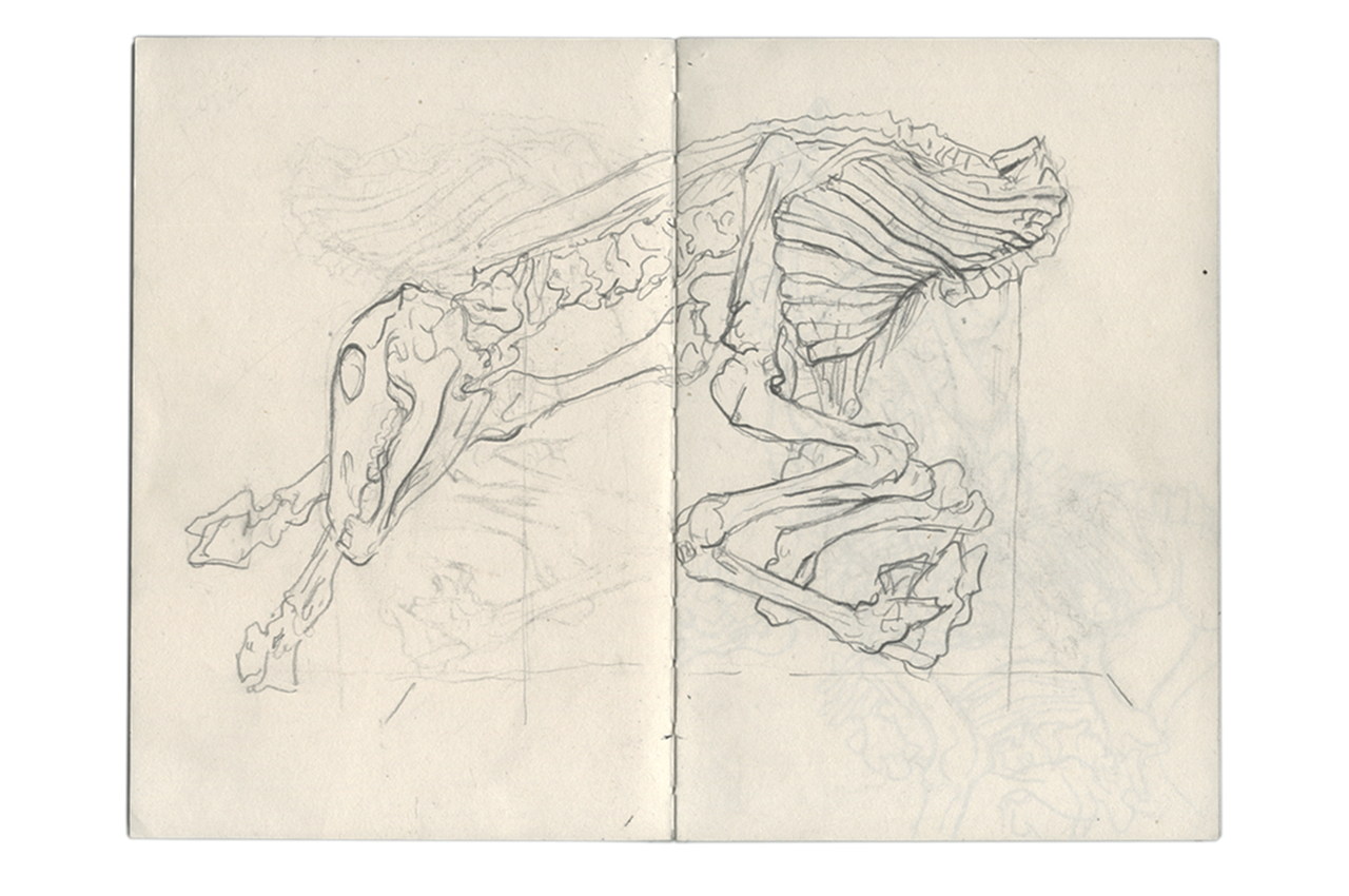 josephine_fragonard_01