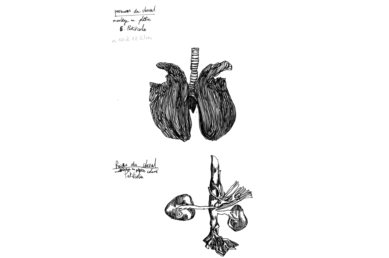 maud_frogonard-04