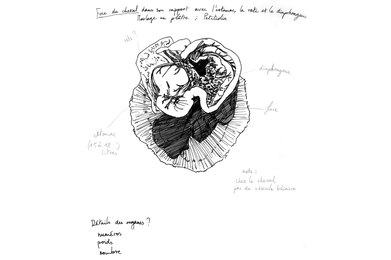 maud_frogonard-05