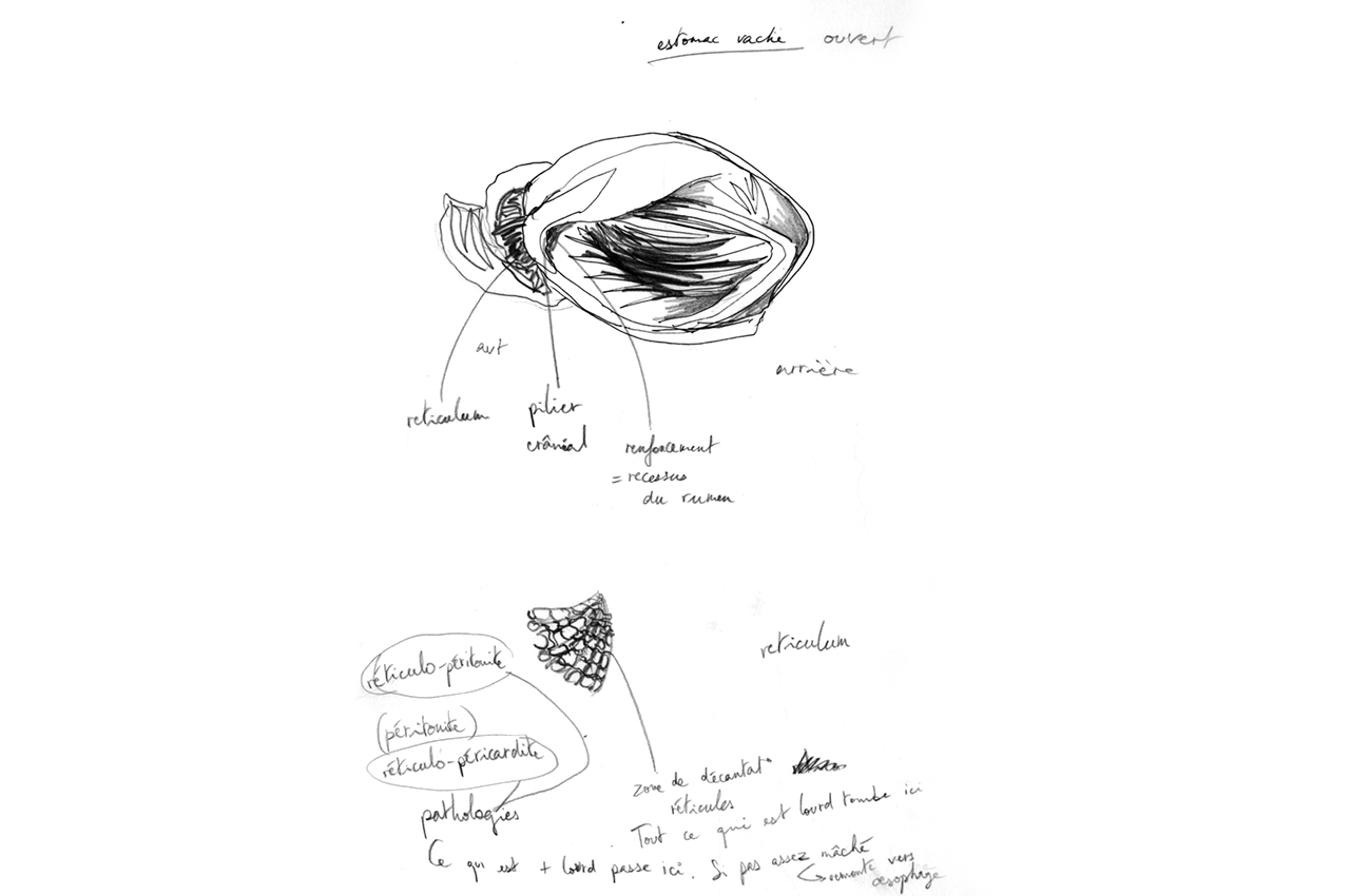 maud_frogonard-06