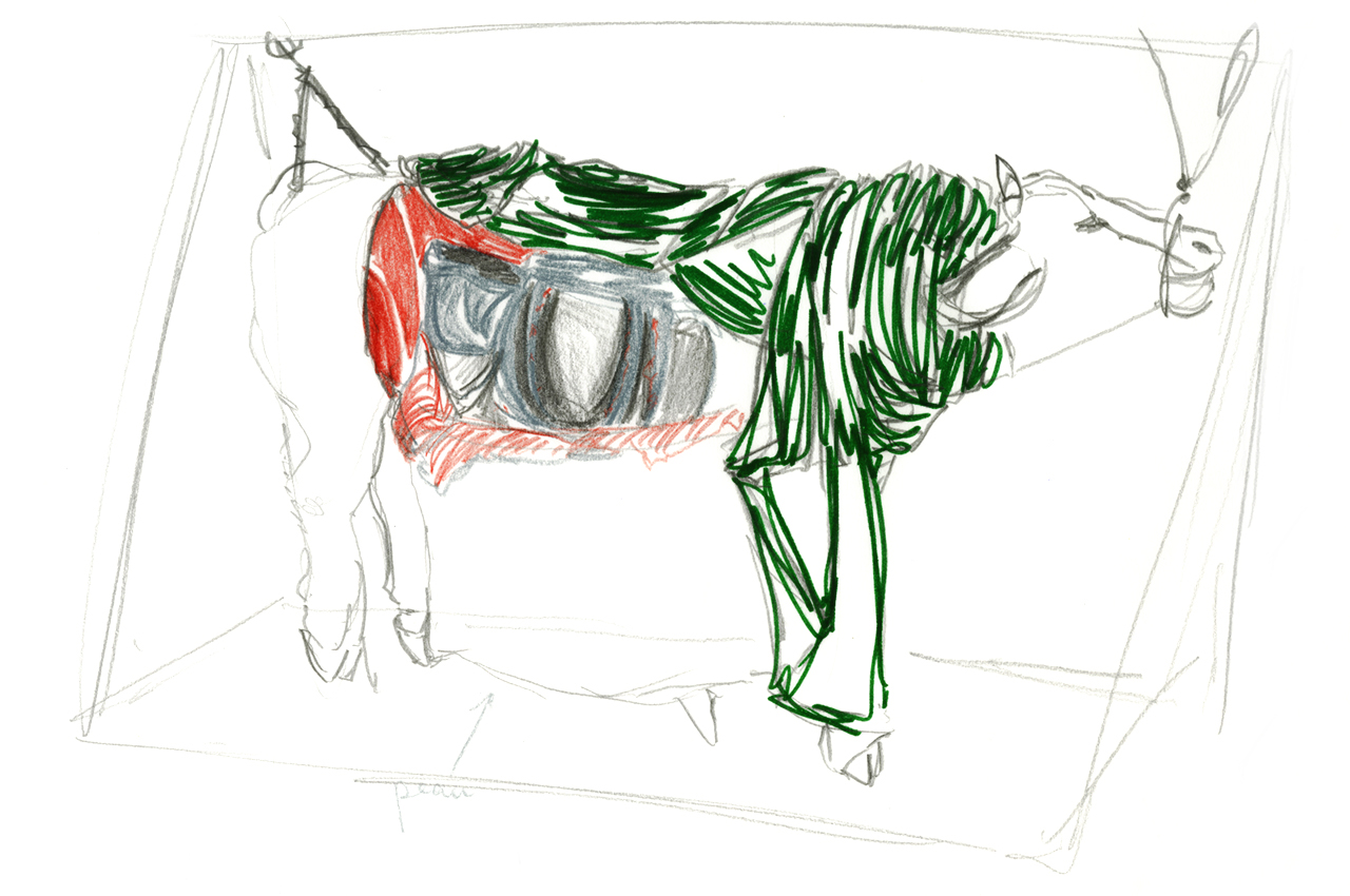 maud_frogonard-09