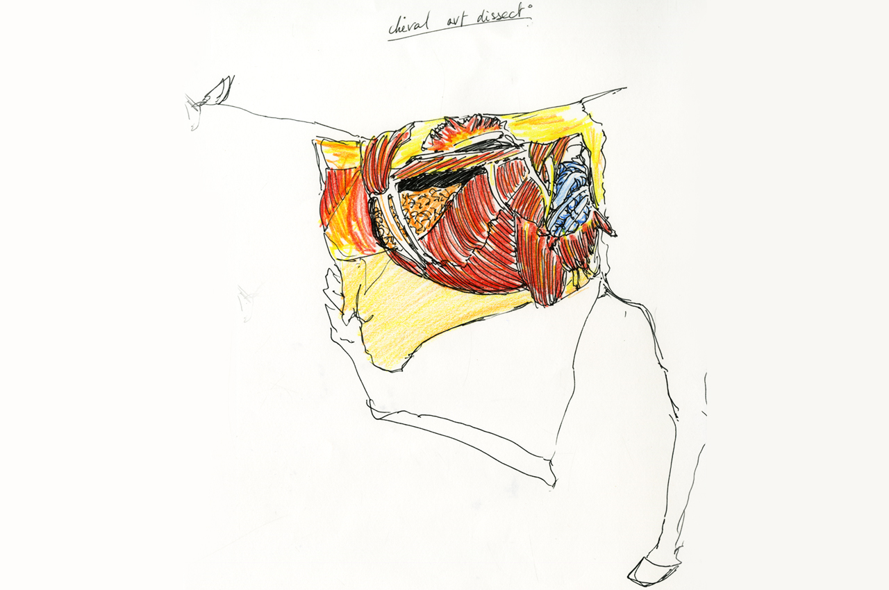 maud_frogonard-10