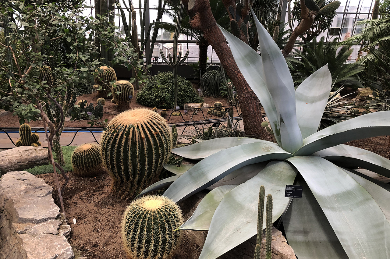 jardin_botanique11