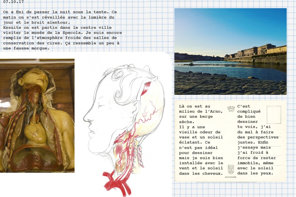 ciao firenze7
